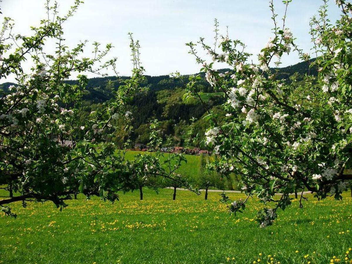 Pension Waldfrieden Oberharmersbach Exteriér fotografie