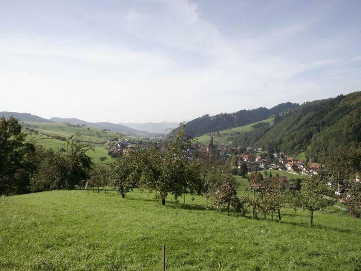 Pension Waldfrieden Oberharmersbach Exteriér fotografie